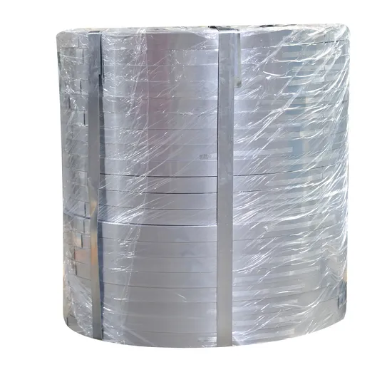 Russia 0.1mm to 36mm Hot Dipped Galvanized Steel Strip Gi Steel Strip 